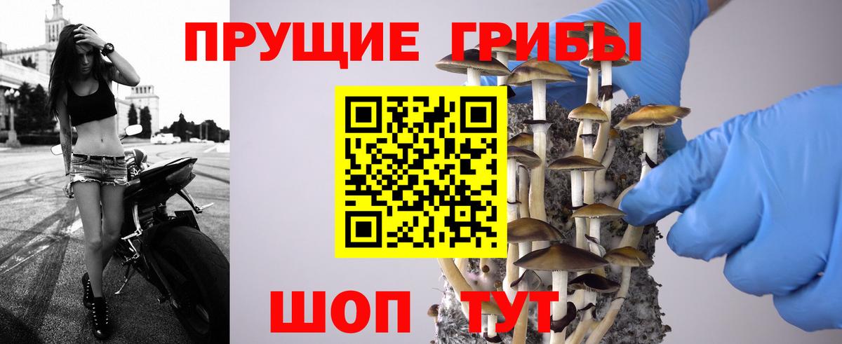 Псилоцибиновые грибы GOLDEN TEACHER  Псилоцибиновые грибы Magic Shrooms  Вход с VPN  Чебаркуль 